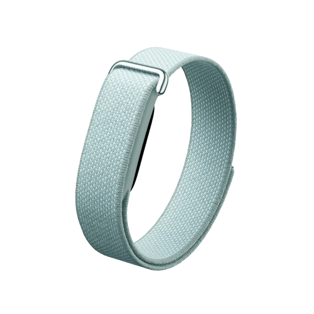 Google Fitbit Air "Fog" - 1 Year Warranty