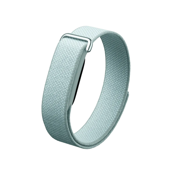 Google Fitbit Air "Fog" - 1 Year Warranty