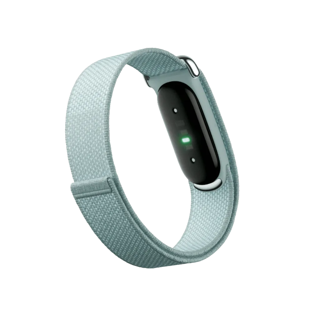 Google Fitbit Air "Fog" - 1 Year Warranty