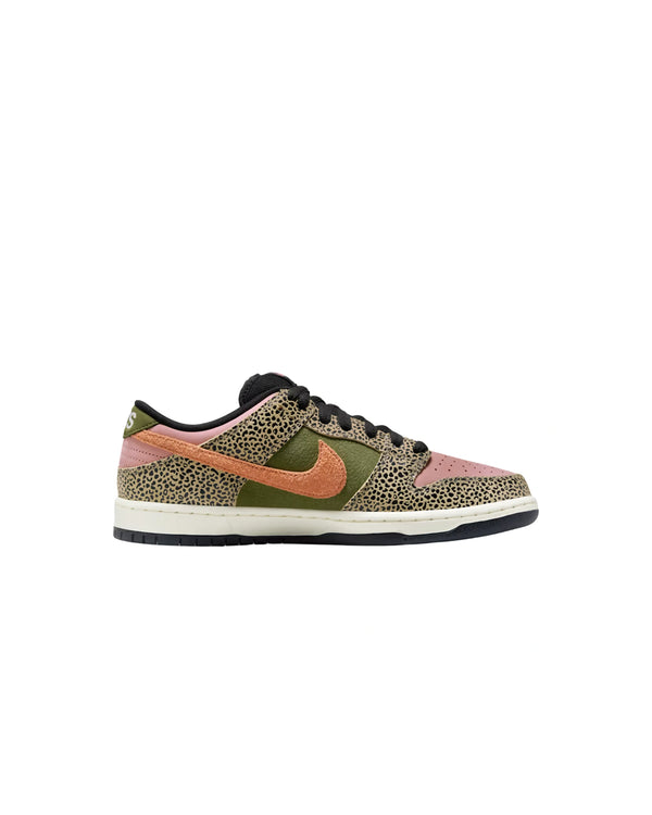 Nike Arts-Rec x Dunk Low SB 'For Recreational Use'