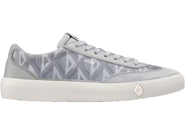 Dior Dior B101 Gray Cd Diamond Nubuck Calfskin