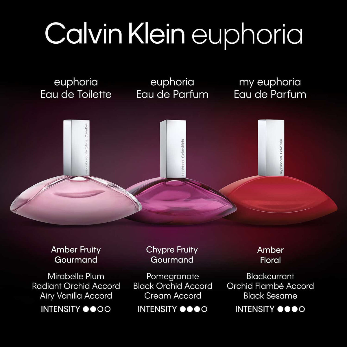 Calvin Klein Calvin Klein Euphoria Eau De Parfum For Women - EDP For Her Female Perfume (100 Ml) - Calvin Klein