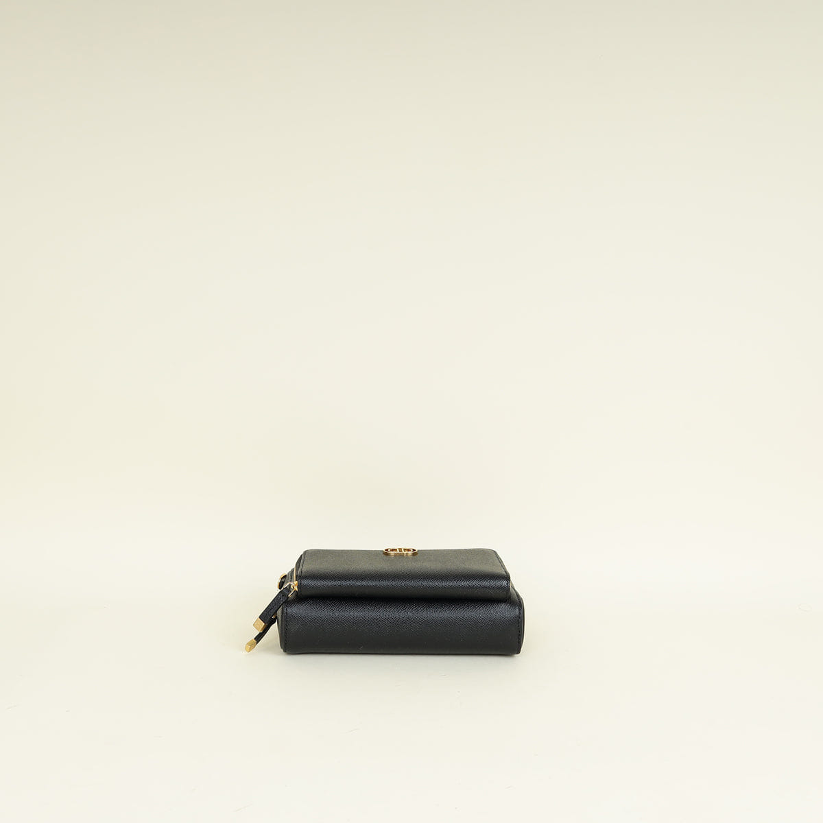 Christian Dior Christian Dior Black Caro Double Pouch Camera Bag