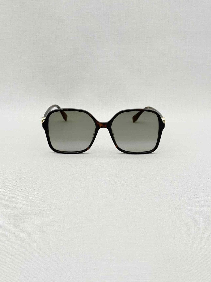Fendi Fendi Black & Brown Sunglasses