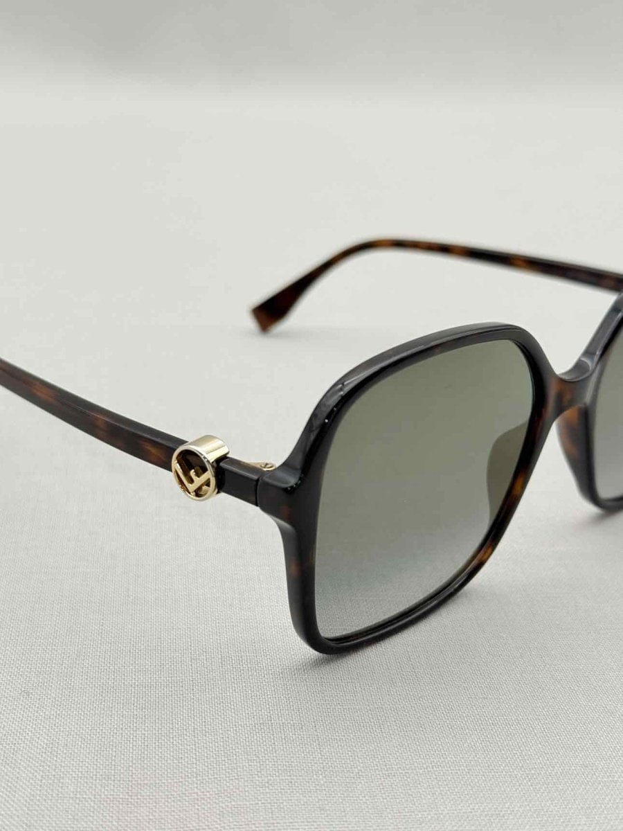 Fendi Fendi Black & Brown Sunglasses