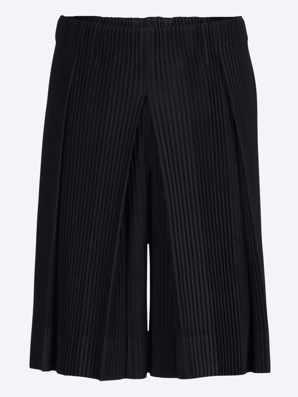 Issey Miyake Issey Miyake Tailored Pleats 2 Pants