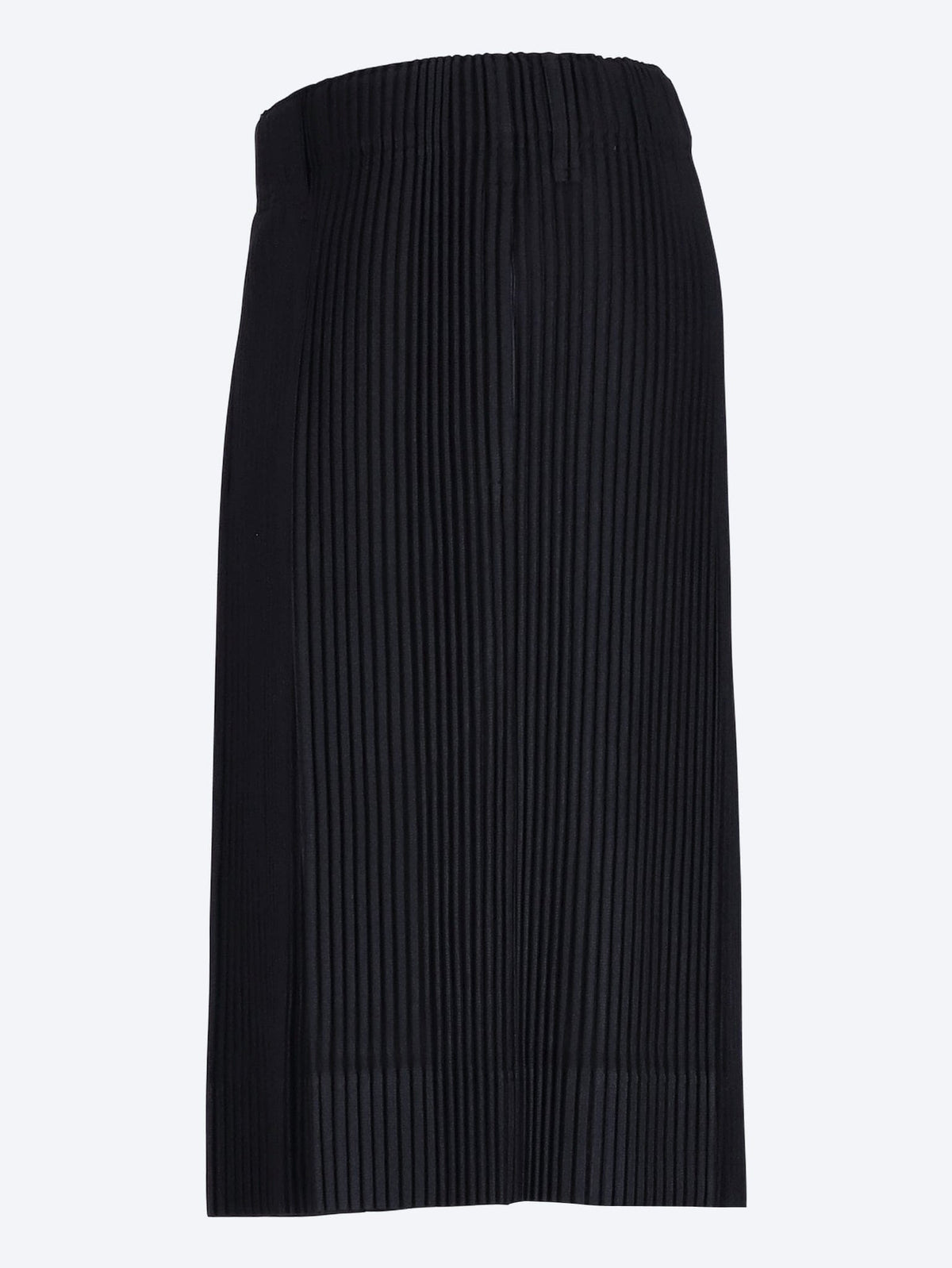 Issey Miyake Issey Miyake Tailored Pleats 2 Pants