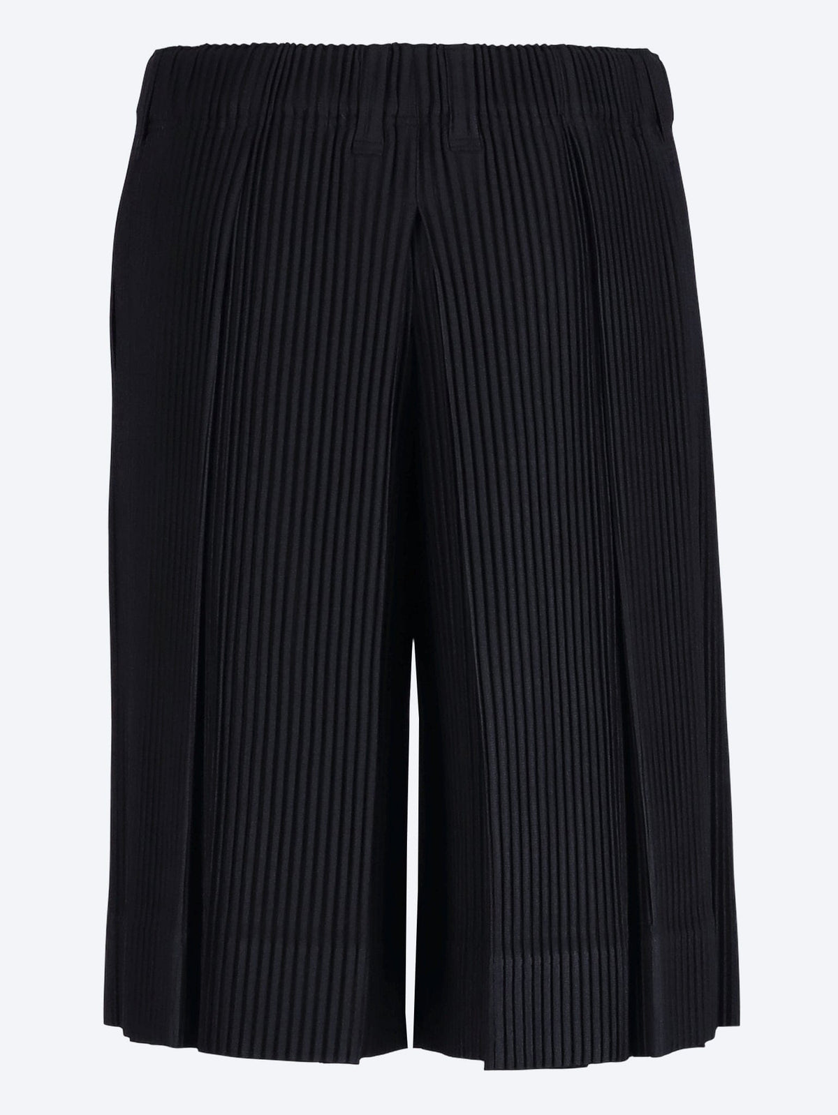 Issey Miyake Issey Miyake Tailored Pleats 2 Pants
