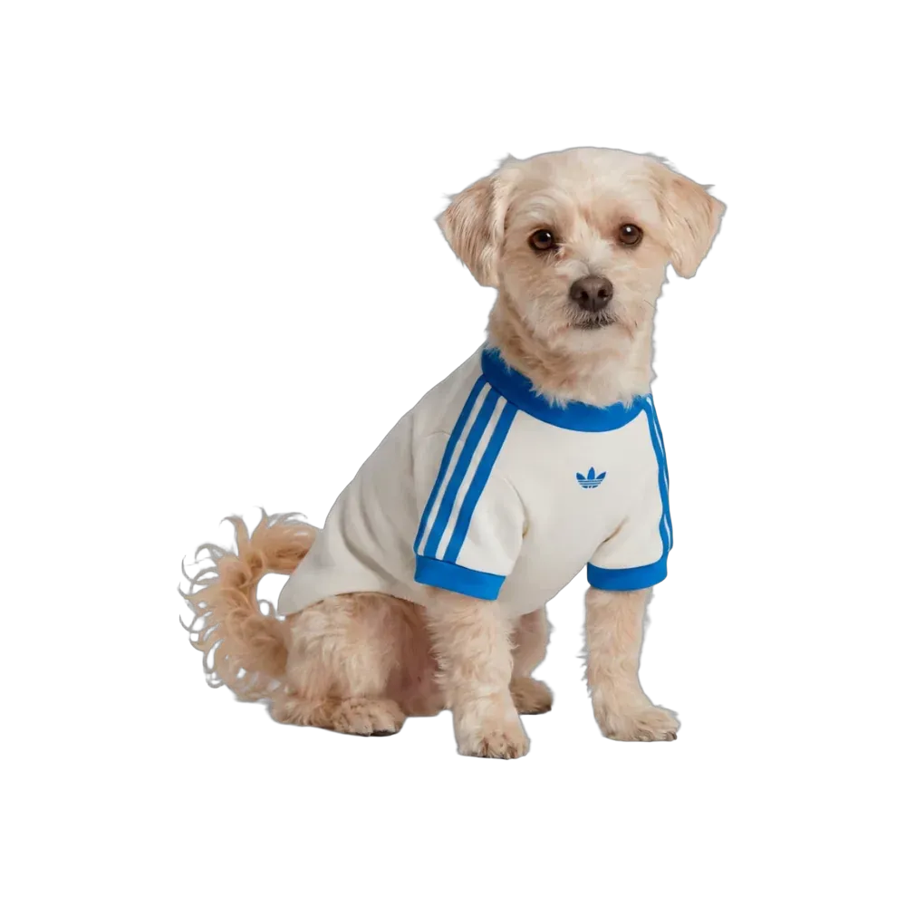  Adidas Pets Cali Tee Off White