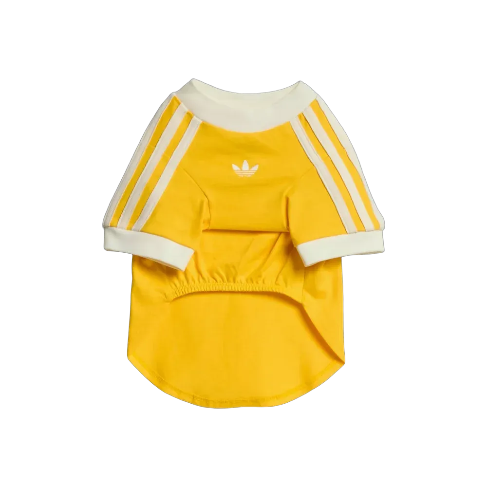  Adidas Pets Cali Tee Bold Gold