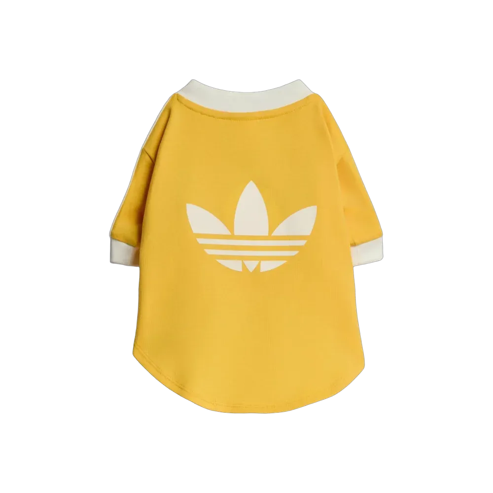  Adidas Pets Cali Tee Bold Gold