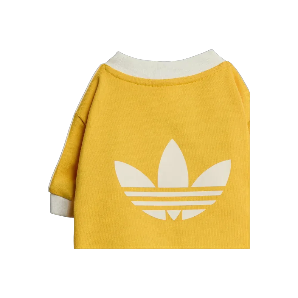  Adidas Pets Cali Tee Bold Gold
