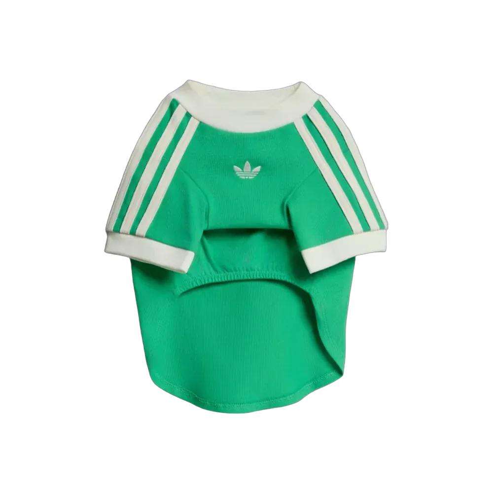 Adidas Pets Cali Tee Flash Lime