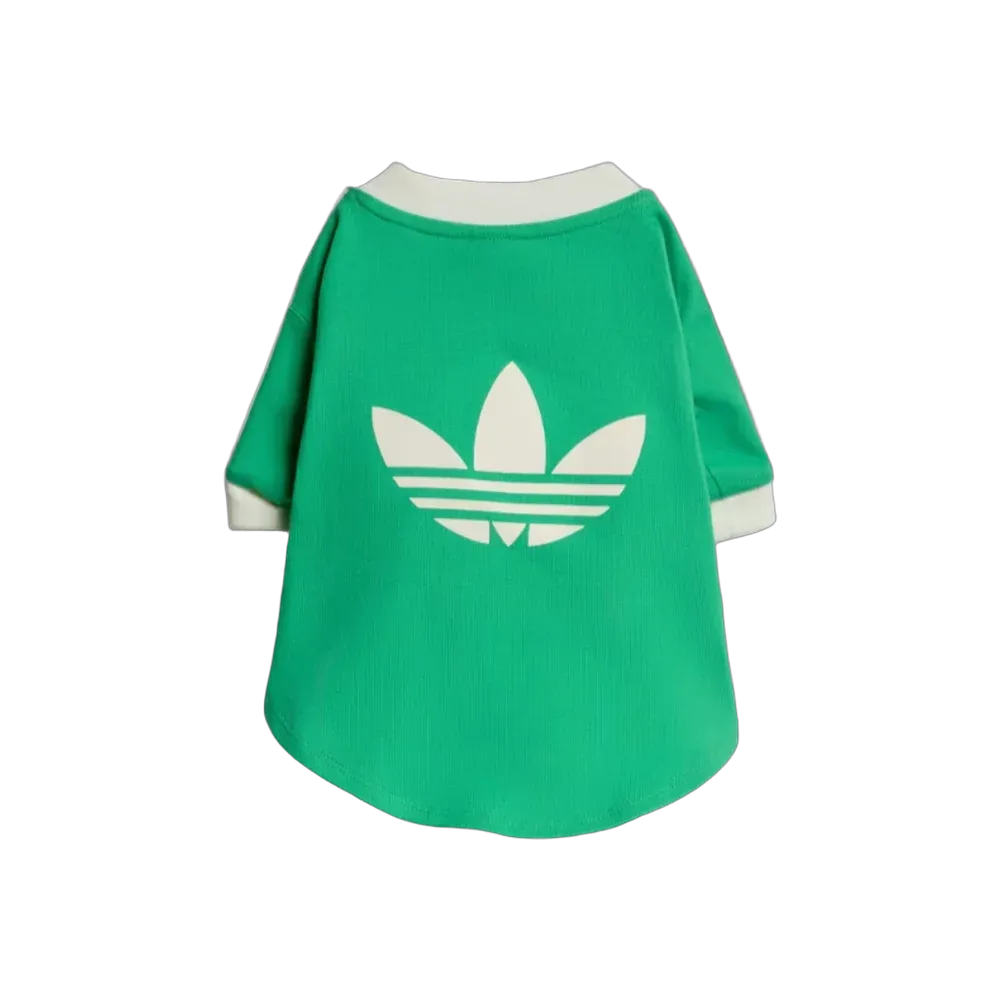  Adidas Pets Cali Tee Flash Lime
