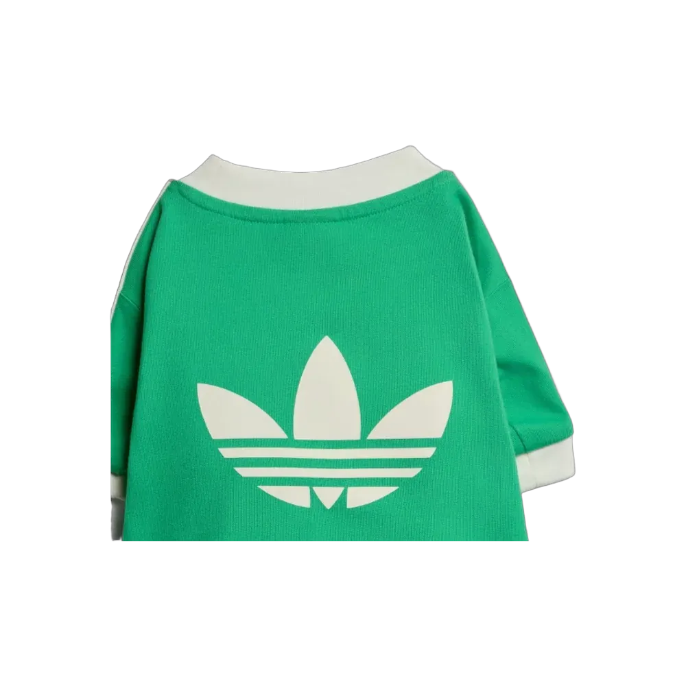  Adidas Pets Cali Tee Flash Lime