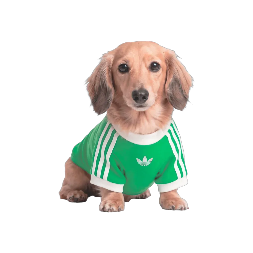  Adidas Pets Cali Tee Flash Lime
