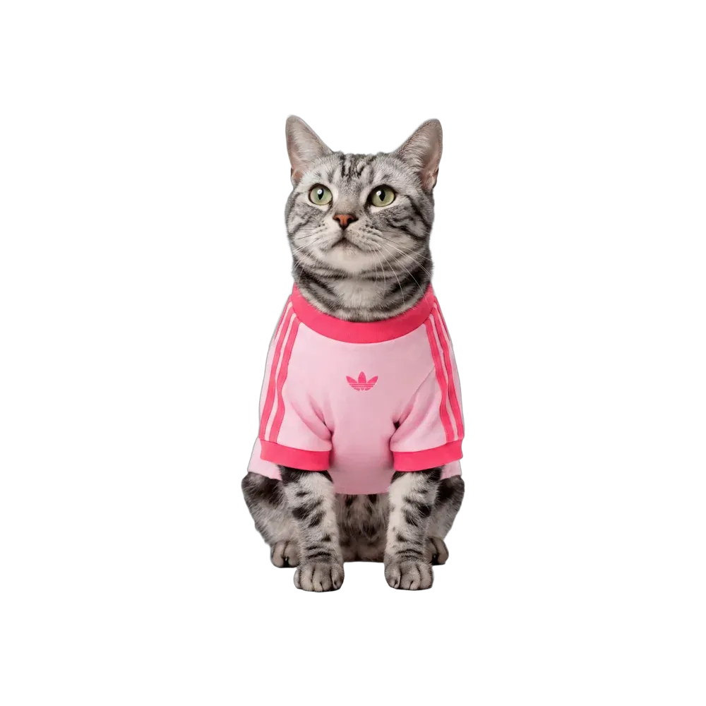  Adidas Pets Cali Tee Clear Pink