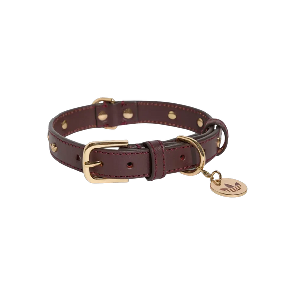 Adidas Pets Collar Collegiate Burgundy