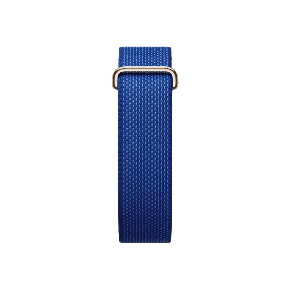Google Fitbit Air Special Edition Pokémon Sleep