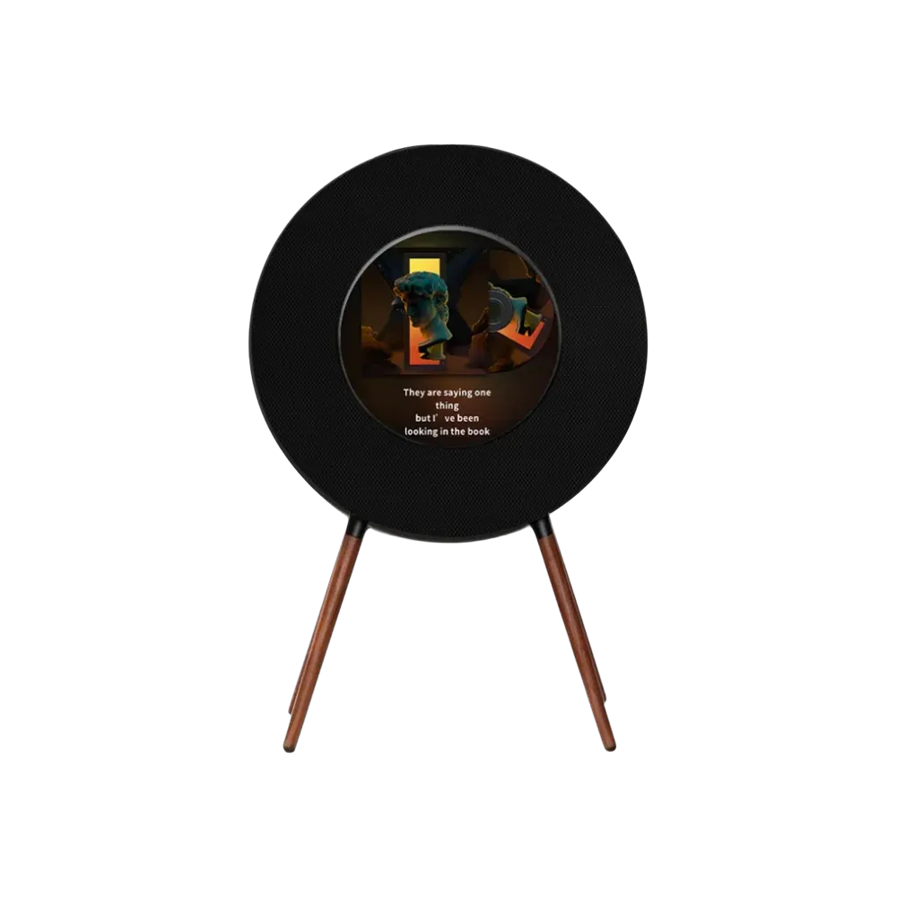 MorningBlues Record R1 Speaker