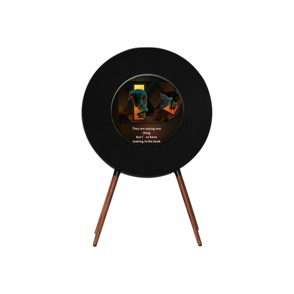 MorningBlues Record R1 Speaker