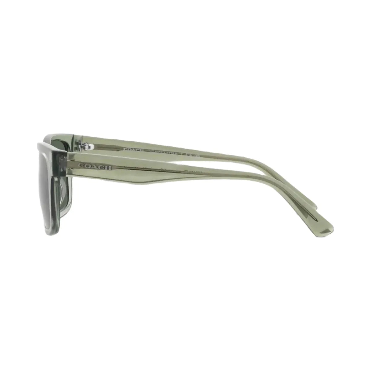 Coach Coach Square Frame Sunglasses Transparent Green