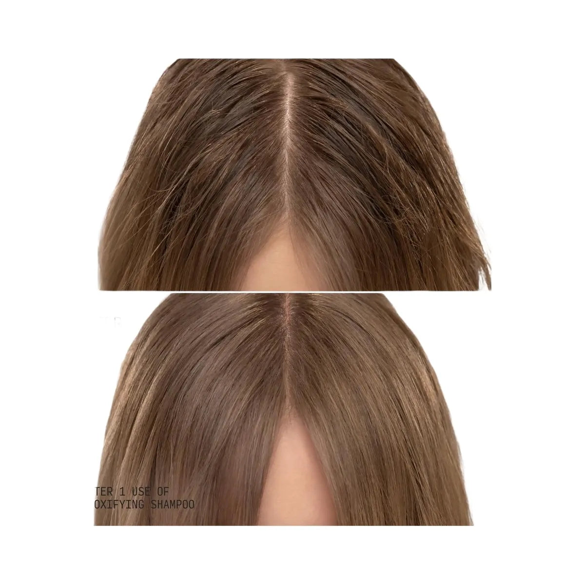 Cecred Detoxifying Shampoo