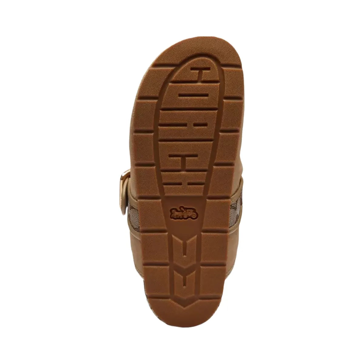 Coach Archival Buckle Clog in Oat