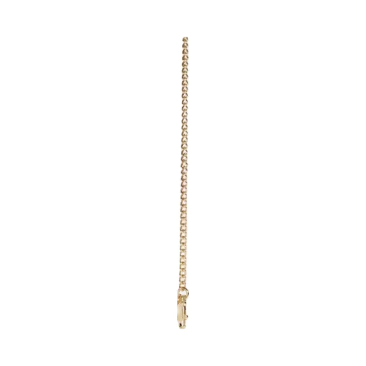 Coach Chain Strap in Gold