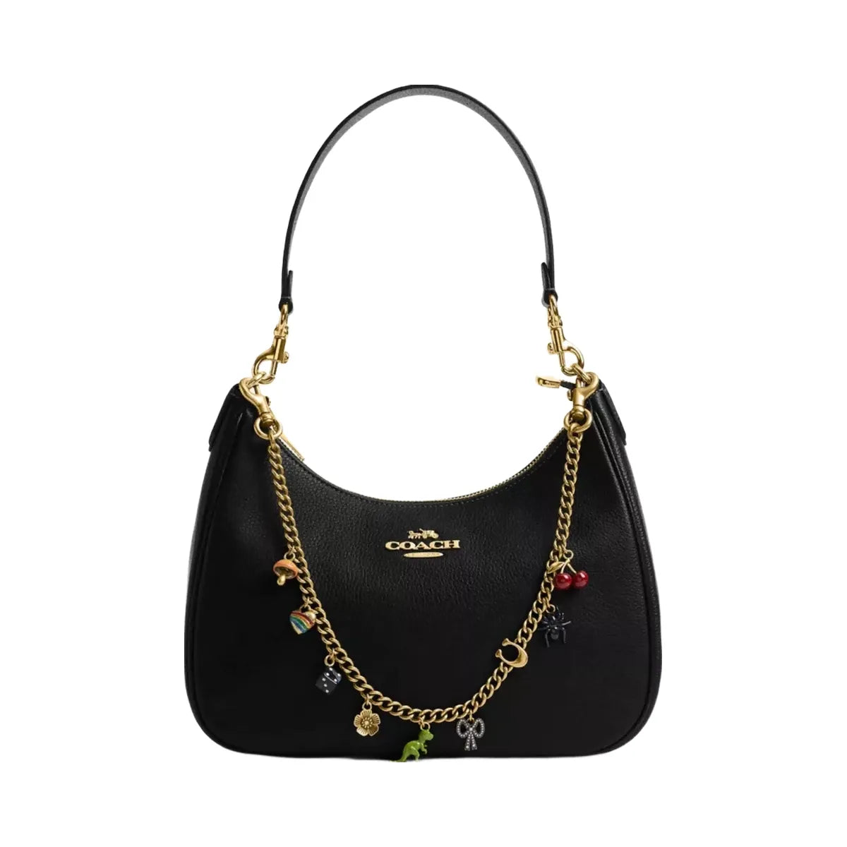 Coach Chain Strap With Charms in Brass Multi