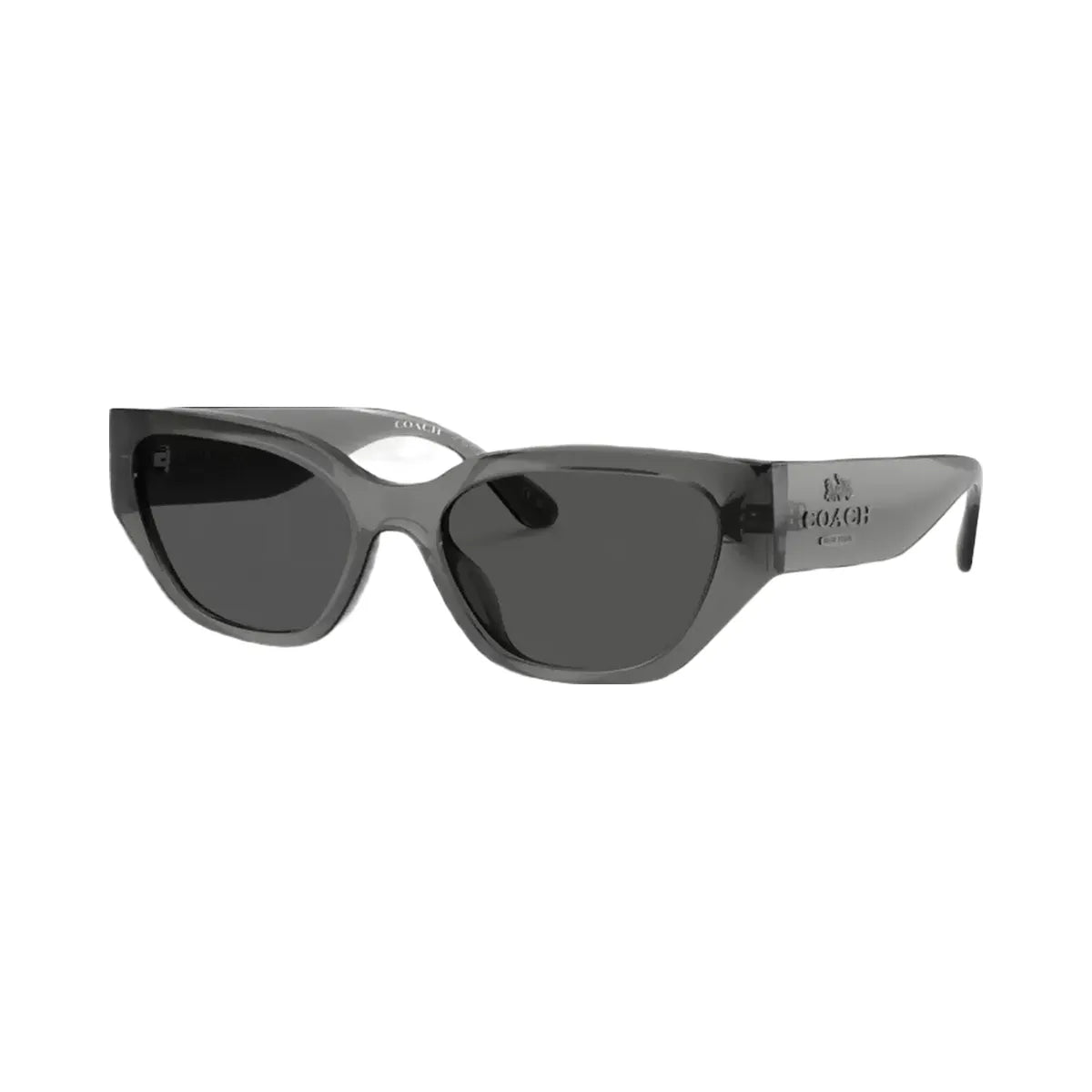 Coach Geometric Cat Eye Sunglasses in Transparent Gray