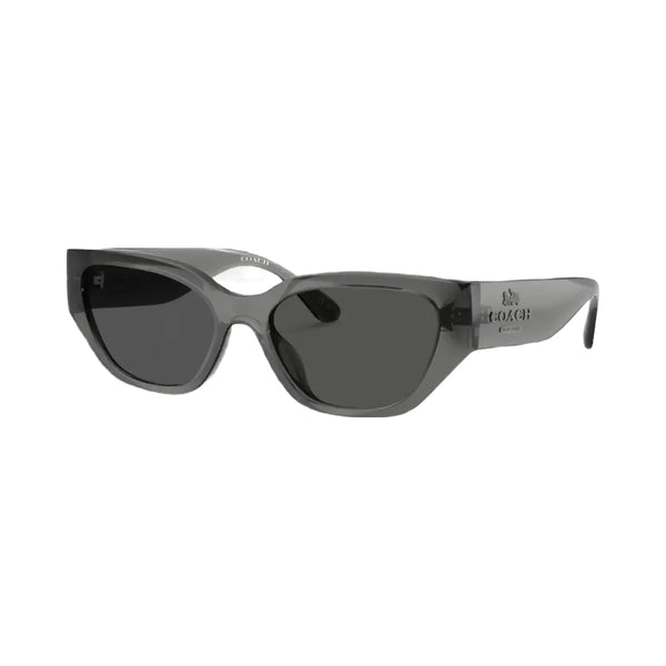 Coach Geometric Cat Eye Sunglasses in Transparent Gray