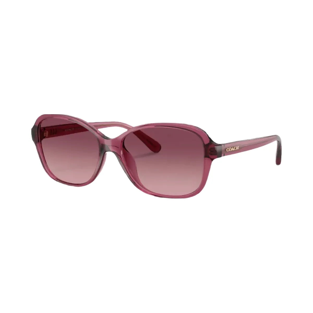 Coach Oversized Oval Sunglasses in Berry