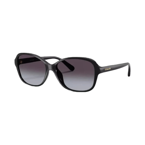 Coach Oversized Oval Sunglasses in Black