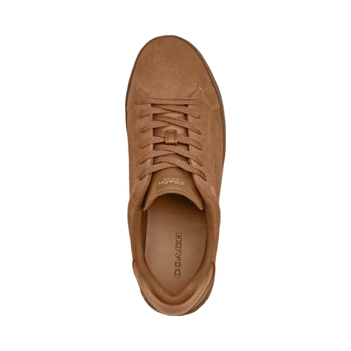 Coach Women's High Line Sneaker Coconut
