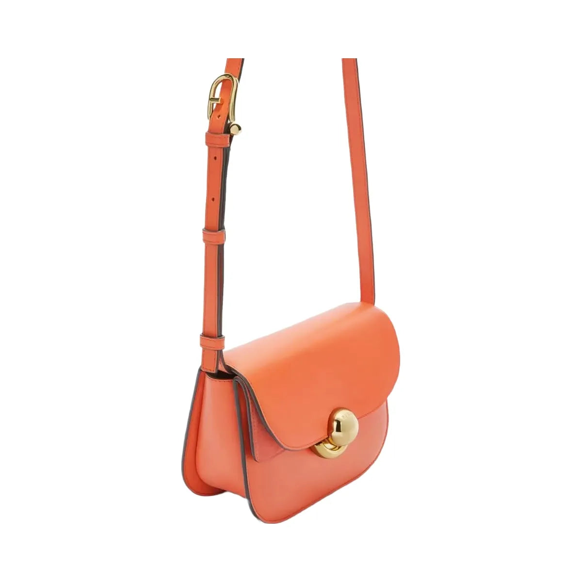 Furla Camelia Azalea+Light Salvia