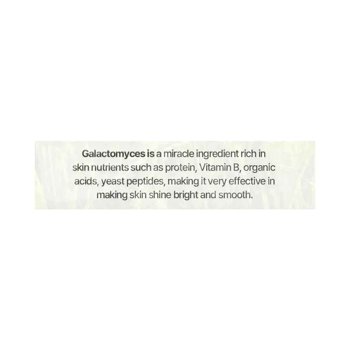 Mixsoon Galactomyces Ferment Essence