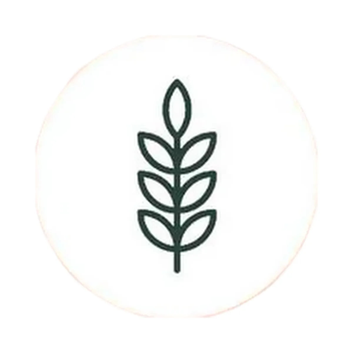 Rael Collagen Facial Sheet Mask